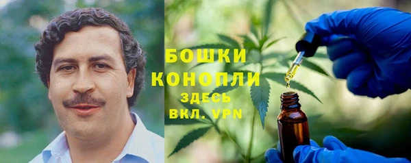 шишки Балабаново