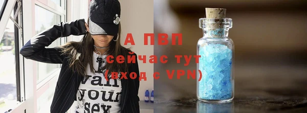 гидра Арсеньев