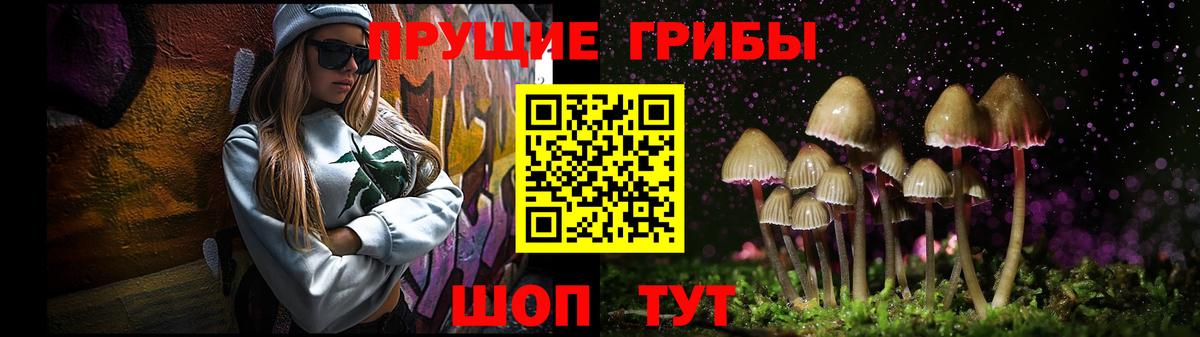 Псилоцибиновые грибы Psilocybe  Псилоцибиновые грибы MAGIC MUSHROOMS  Заречный  Вход с VPN 